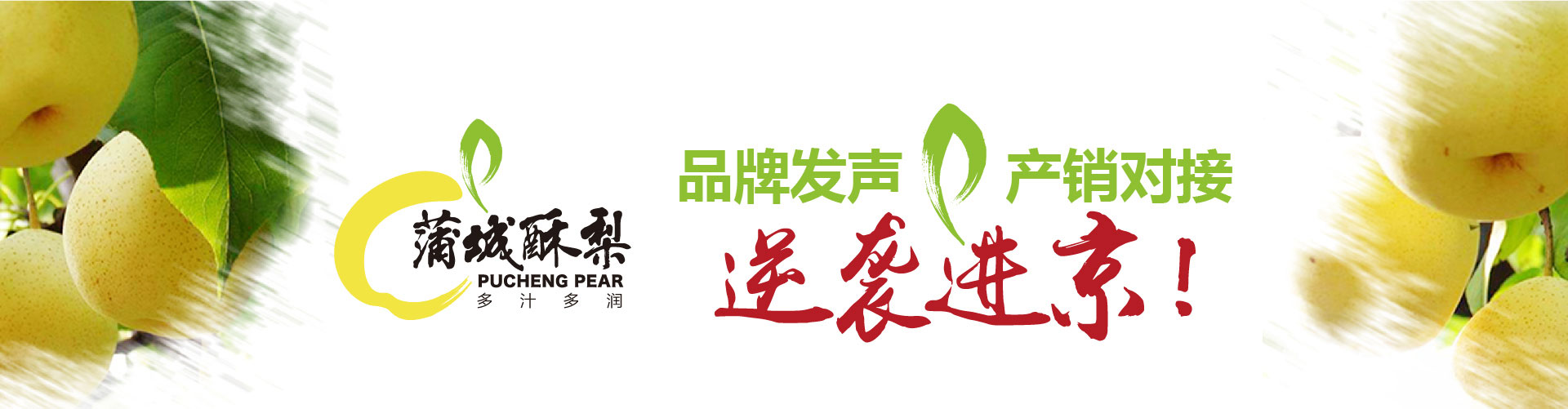 战略赋能区域公用品牌，点亮区域经济