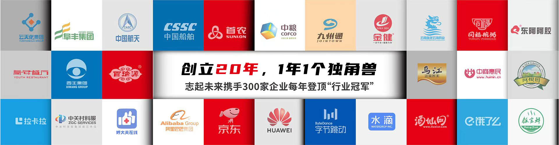 北京志起未来咨询集团（简称CBCT或志起未来），成立于2005年，总部位于北京，是一家创新品牌营销策划公司，入选中国十大策划公司，在公司战略品牌营销、战略定位、品牌策划、农产品区域公用品牌等已经服务15年，15年来致力于企业、产业及区域经济的发展研究，为企业和政府提供决策依据和资源支持。